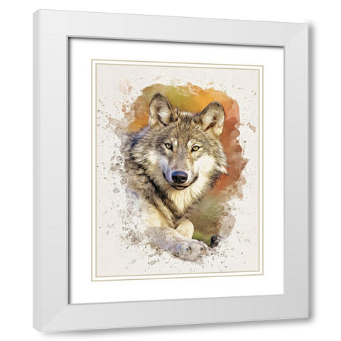 Gray Wolf White Modern Wood Framed Art Print with Double Matting by Alpenglow Workshop