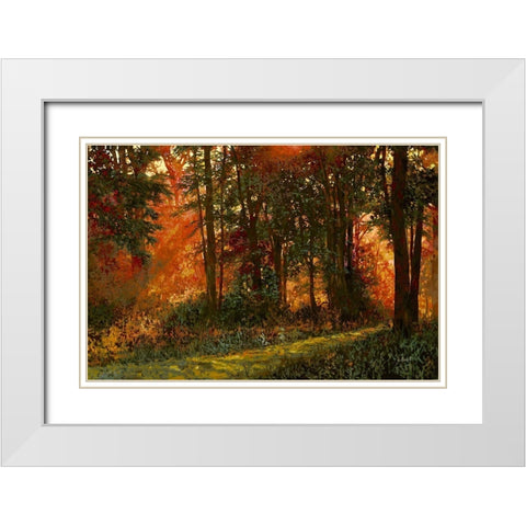 Luci Nel Bosco White Modern Wood Framed Art Print with Double Matting by Borelli, Guido