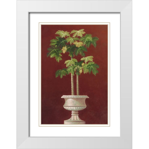 Potted Palm in Red I White Modern Wood Framed Art Print with Double Matting by Welby