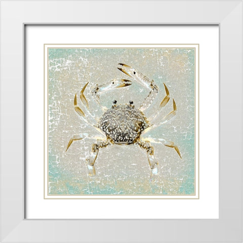 Aqua Marine XIV White Modern Wood Framed Art Print with Double Matting by Aryai, Sia