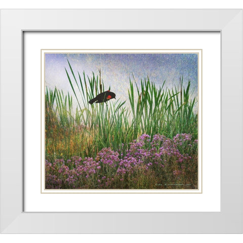 Redwing in Cattail White Modern Wood Framed Art Print with Double Matting by Vest, Christopher