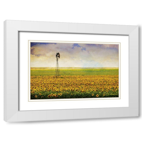 High Plains Sunflowers White Modern Wood Framed Art Print with Double Matting by Vest, Christopher