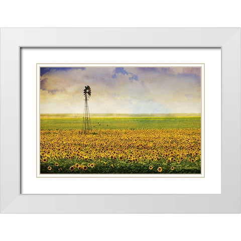 High Plains Sunflowers White Modern Wood Framed Art Print with Double Matting by Vest, Christopher