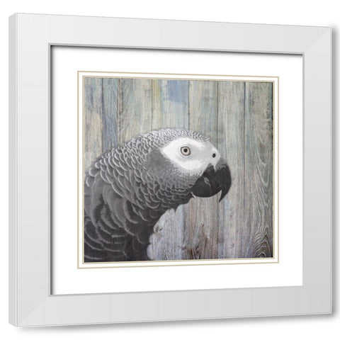 Bird Heads II White Modern Wood Framed Art Print with Double Matting by Smith, Karen