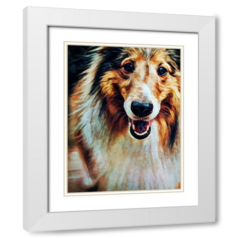 Rough Collie So Jolly White Modern Wood Framed Art Print with Double Matting by Aldridge, Ashley