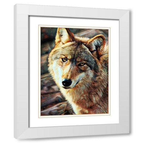 Gray Wolf Glare White Modern Wood Framed Art Print with Double Matting by Aldridge, Ashley