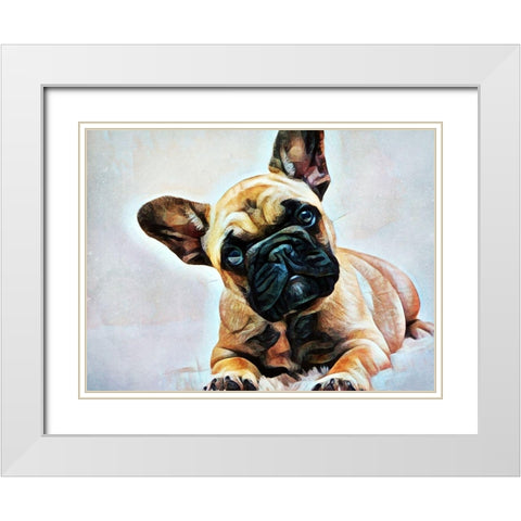 Fawn French Bulldog Puppy Pose White Modern Wood Framed Art Print with Double Matting by Aldridge, Ashley