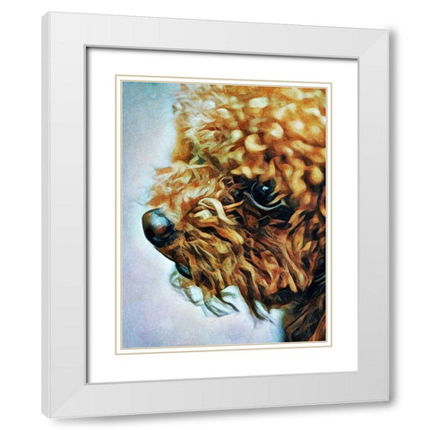 Apricot Toy Poodle Puff White Modern Wood Framed Art Print with Double Matting by Aldridge, Ashley