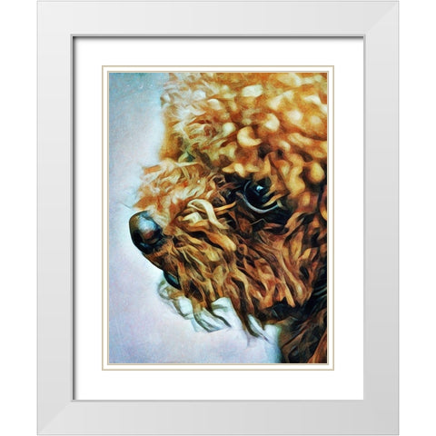 Apricot Toy Poodle Puff White Modern Wood Framed Art Print with Double Matting by Aldridge, Ashley