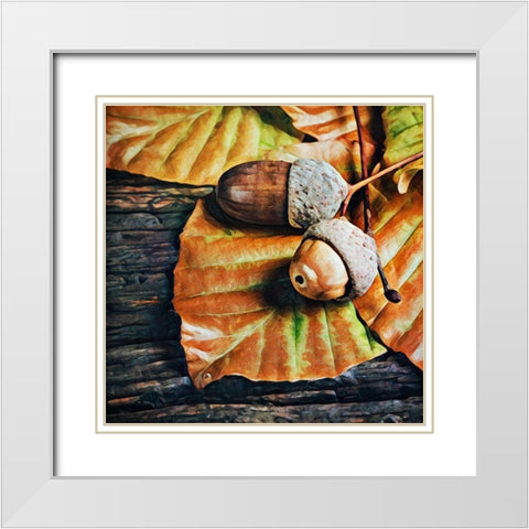 Autumn Acorns White Modern Wood Framed Art Print with Double Matting by Aldridge, Ashley