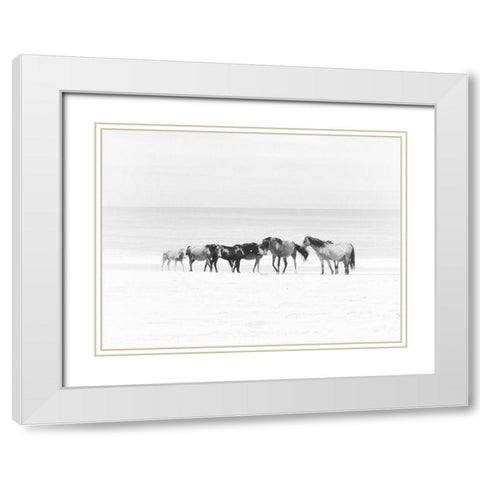Corolla Beach Horses White Modern Wood Framed Art Print with Double Matting by Curinga, Kim