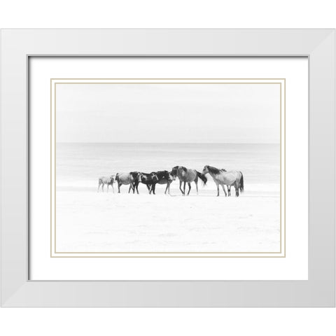 Corolla Beach Horses White Modern Wood Framed Art Print with Double Matting by Curinga, Kim