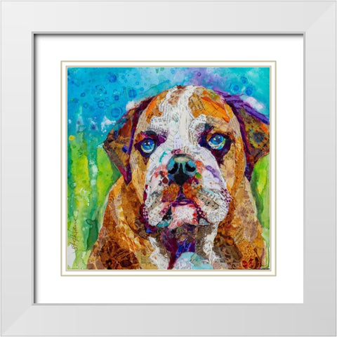 Bull Dog White Modern Wood Framed Art Print with Double Matting by St Hilaire, Elizabeth