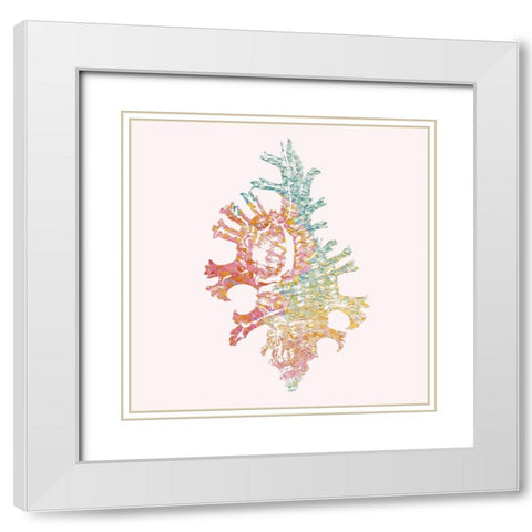 Bahama Shell I White Modern Wood Framed Art Print with Double Matting by Guillen, Surma