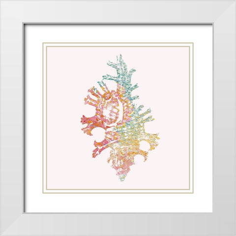 Bahama Shell I White Modern Wood Framed Art Print with Double Matting by Guillen, Surma