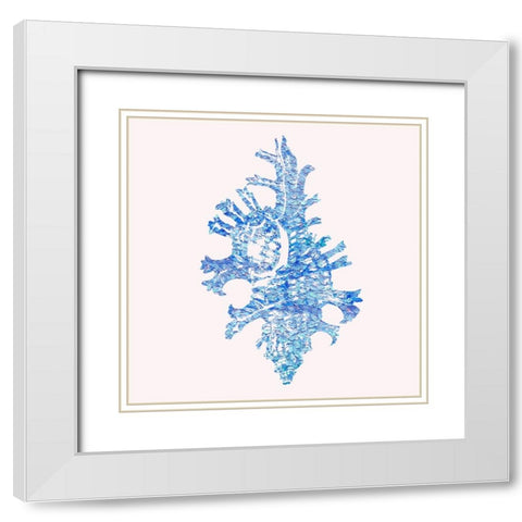 Bahama Shell II White Modern Wood Framed Art Print with Double Matting by Guillen, Surma