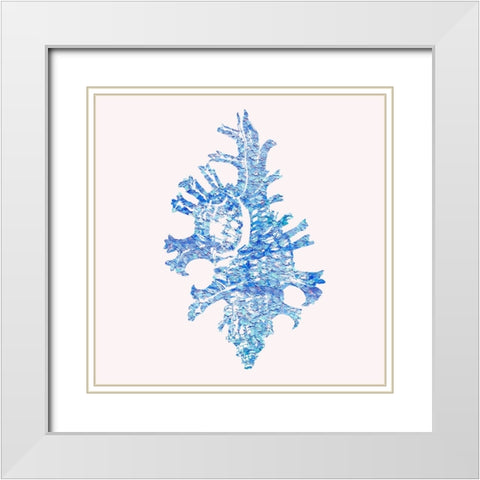 Bahama Shell II White Modern Wood Framed Art Print with Double Matting by Guillen, Surma