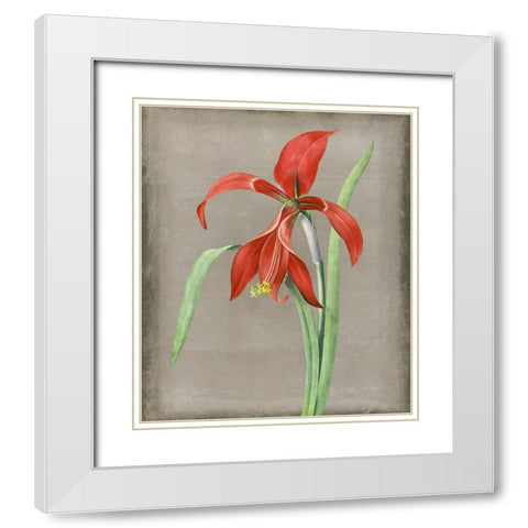 Inthered II White Modern Wood Framed Art Print with Double Matting by Smith, Karen