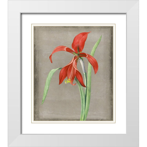 Inthered II White Modern Wood Framed Art Print with Double Matting by Smith, Karen