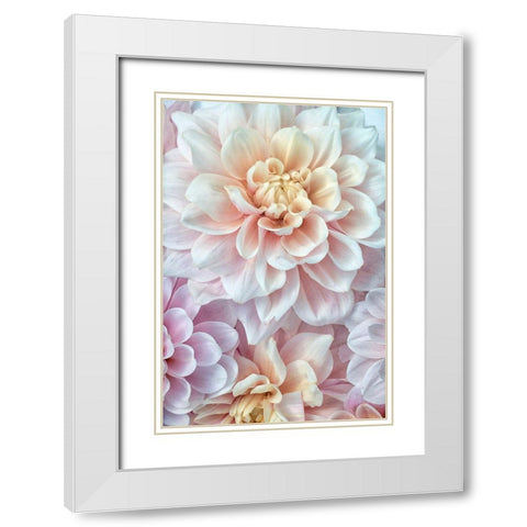 Pink and Gold White Modern Wood Framed Art Print with Double Matting by Stalus, Judy