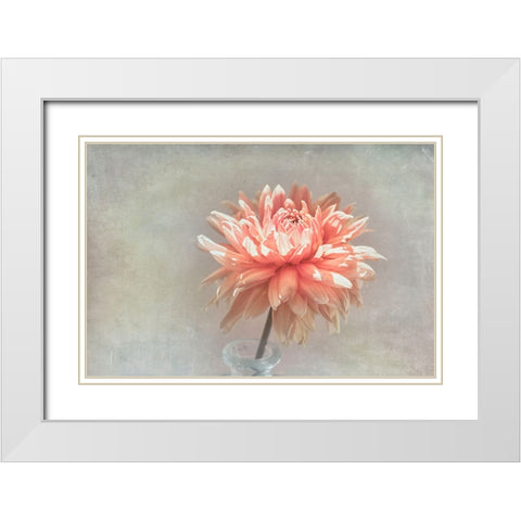 Coral Dahlia White Modern Wood Framed Art Print with Double Matting by Stalus, Judy