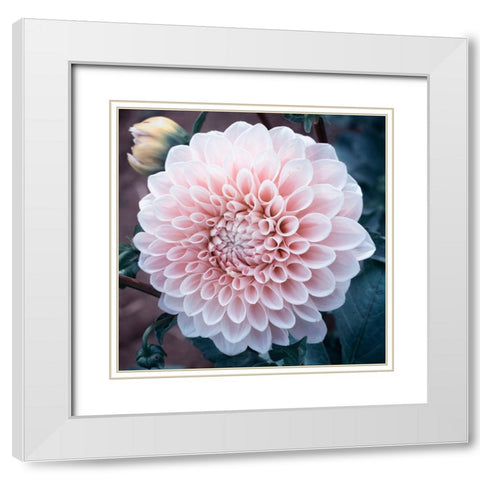 Lady Blue White Modern Wood Framed Art Print with Double Matting by Stalus, Judy