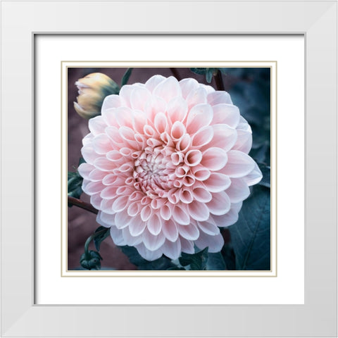 Lady Blue White Modern Wood Framed Art Print with Double Matting by Stalus, Judy