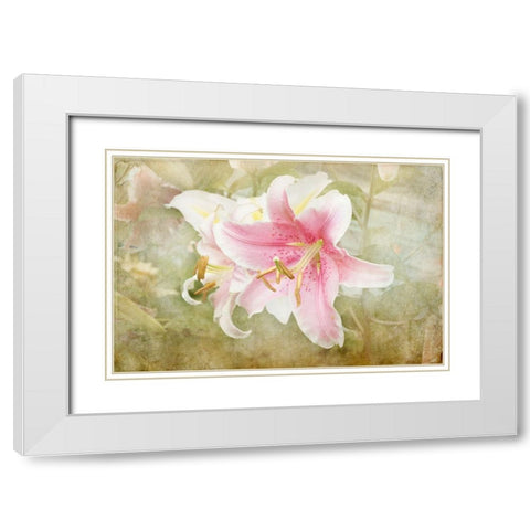 Lily White Modern Wood Framed Art Print with Double Matting by Stalus, Judy