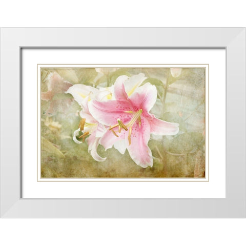 Lily White Modern Wood Framed Art Print with Double Matting by Stalus, Judy