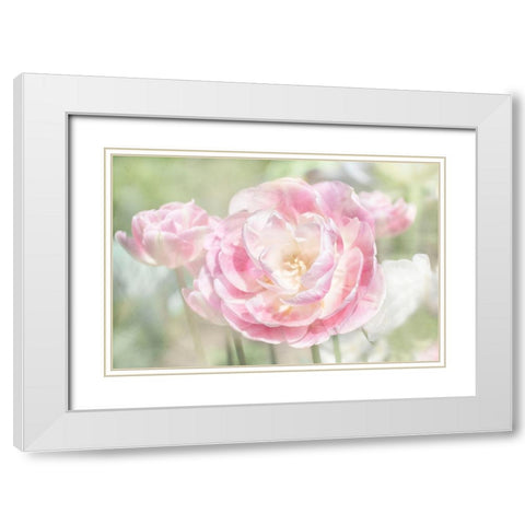 Tulips White Modern Wood Framed Art Print with Double Matting by Stalus, Judy