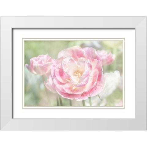 Tulips White Modern Wood Framed Art Print with Double Matting by Stalus, Judy
