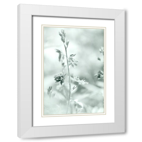 Silver Morning White Modern Wood Framed Art Print with Double Matting by Stalus, Judy
