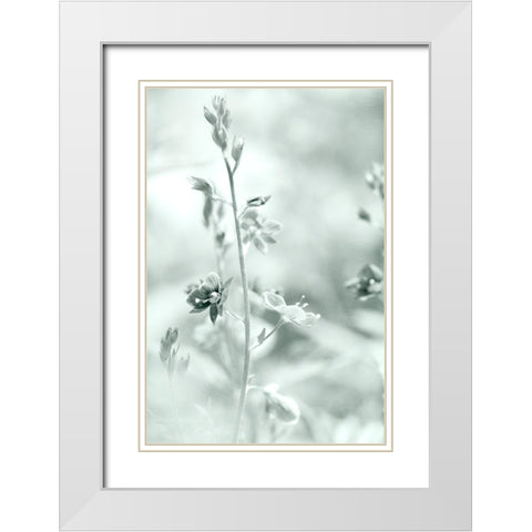 Silver Morning White Modern Wood Framed Art Print with Double Matting by Stalus, Judy