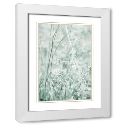 Grass White Modern Wood Framed Art Print with Double Matting by Stalus, Judy