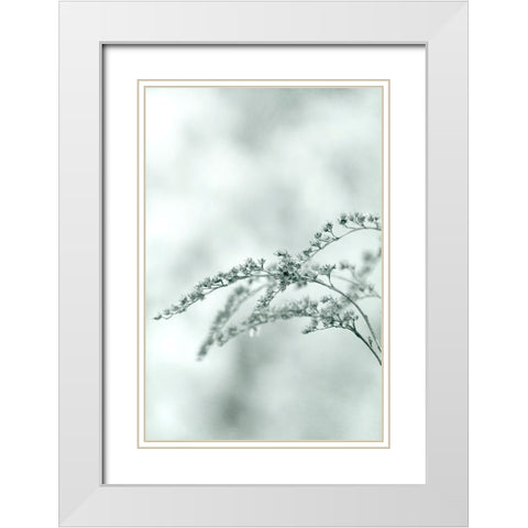 Meadow White Modern Wood Framed Art Print with Double Matting by Stalus, Judy