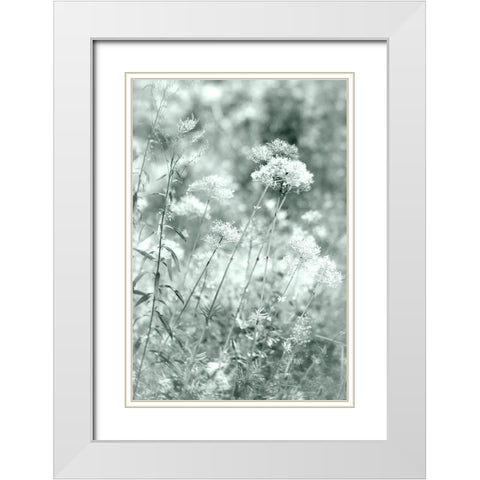 Autumn White Modern Wood Framed Art Print with Double Matting by Stalus, Judy