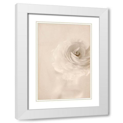 Whisper White Modern Wood Framed Art Print with Double Matting by Stalus, Judy