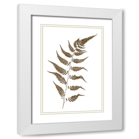 Fern White Modern Wood Framed Art Print with Double Matting by Stalus, Judy