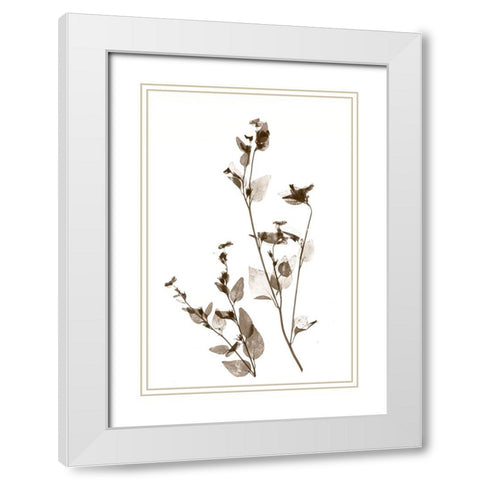 Wild Flower White Modern Wood Framed Art Print with Double Matting by Stalus, Judy