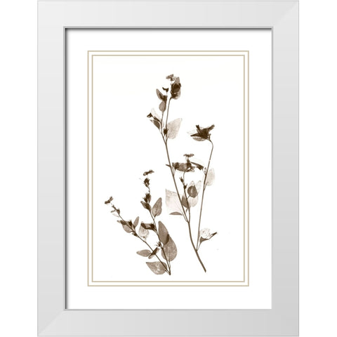 Wild Flower White Modern Wood Framed Art Print with Double Matting by Stalus, Judy