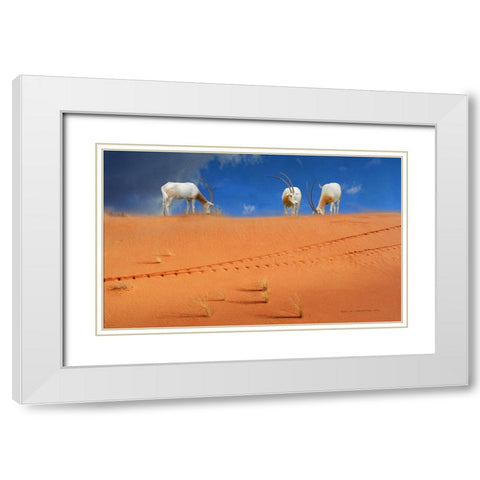 Scimitar Orxyes Restored White Modern Wood Framed Art Print with Double Matting by Vest, Christopher