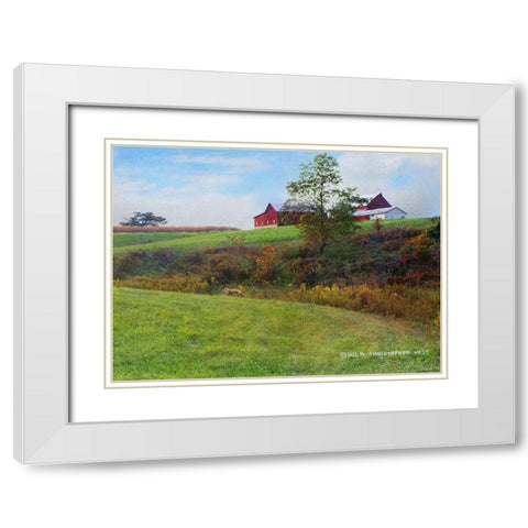 Ohio Barn with Red Fox White Modern Wood Framed Art Print with Double Matting by Vest, Christopher