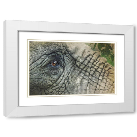 Elephant Eye White Modern Wood Framed Art Print with Double Matting by Vest, Christopher