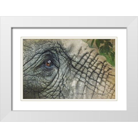 Elephant Eye White Modern Wood Framed Art Print with Double Matting by Vest, Christopher