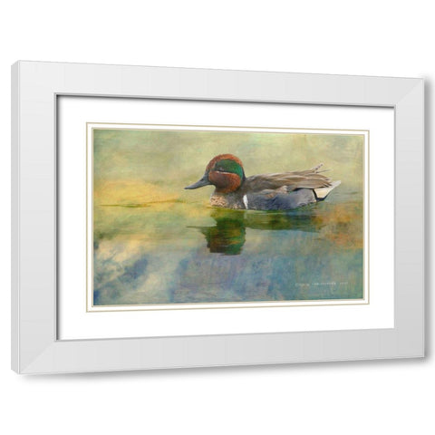 Green Teal Drake White Modern Wood Framed Art Print with Double Matting by Vest, Christopher