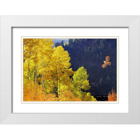 Screaming down the valley-redtailed hawk White Modern Wood Framed Art Print with Double Matting by Vest, Christopher