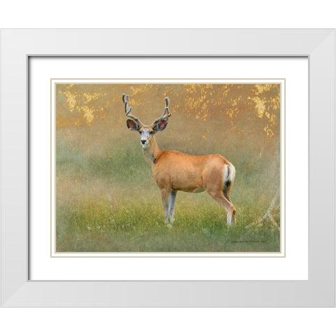 High Summer Velvet Buck Deer White Modern Wood Framed Art Print with Double Matting by Vest, Christopher