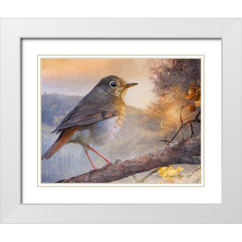 Hermit Thrush Hillside Drive White Modern Wood Framed Art Print with Double Matting by Vest, Christopher