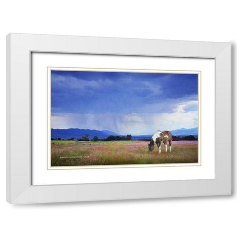 Paint Horse in Bliss White Modern Wood Framed Art Print with Double Matting by Vest, Christopher