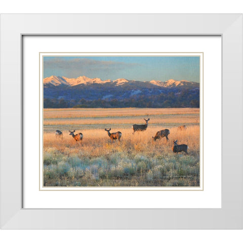Sunset Deer White Modern Wood Framed Art Print with Double Matting by Vest, Christopher